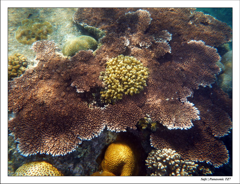 2009   07   Perhentians 084